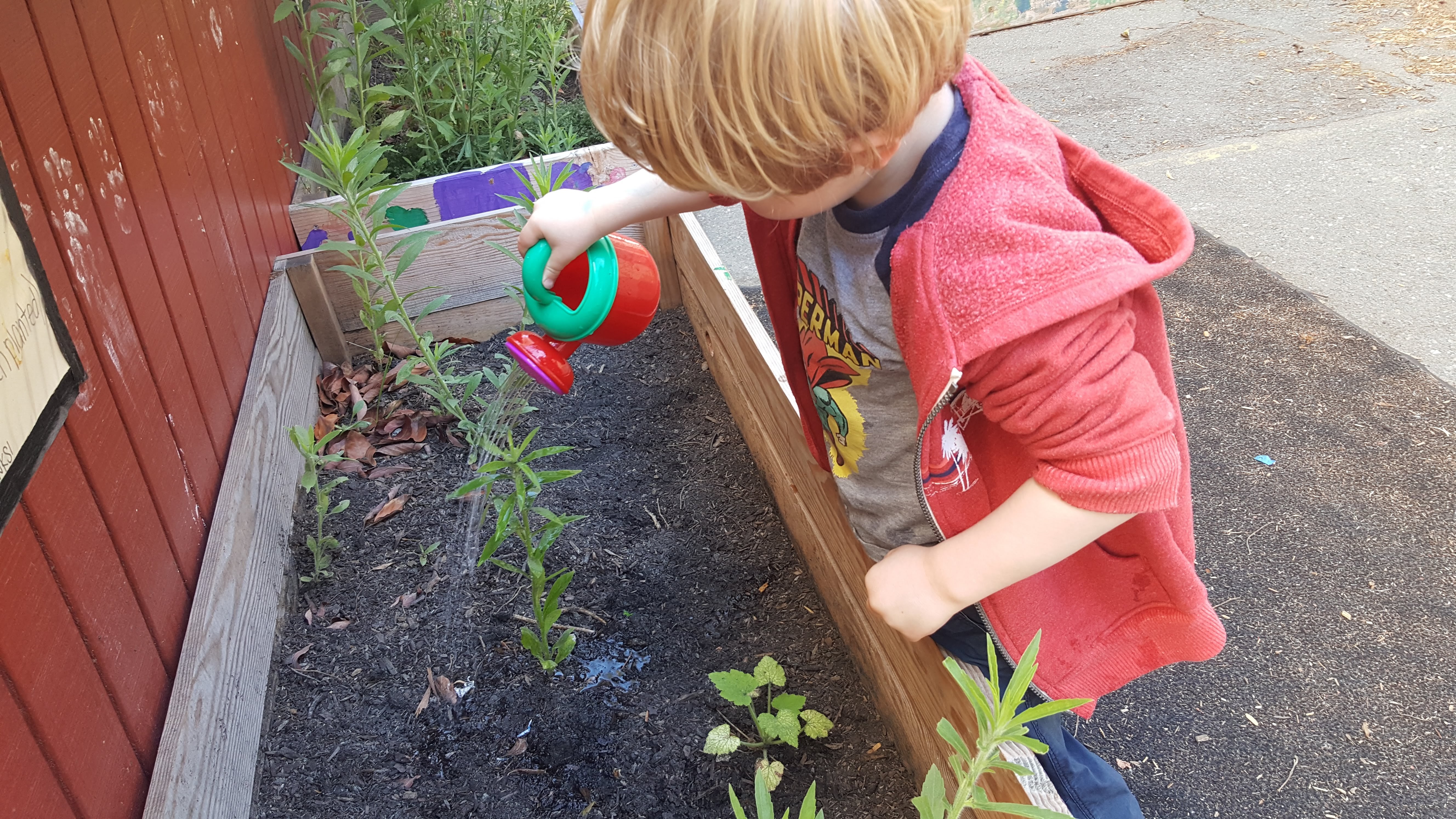 gardening